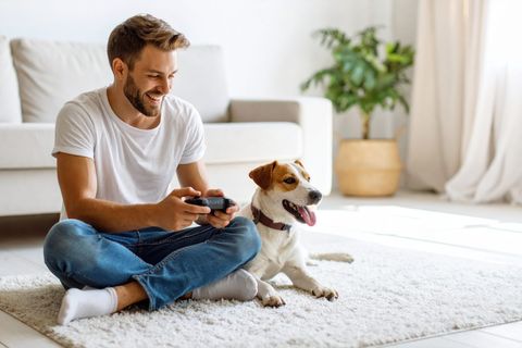 Homeowner relaxing with a dog on a freshly cleaned carpet, representative of larger family homes in the Beaches